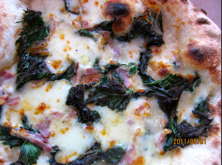 nettles pizza close up