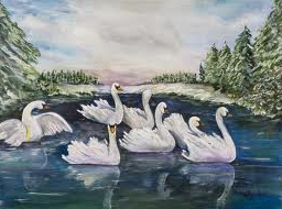 seven swans a swimming