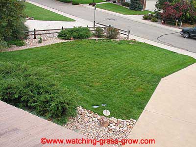 watching_grass_grow_2003_09_29