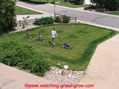 watching_grass_grow_2004_06_20