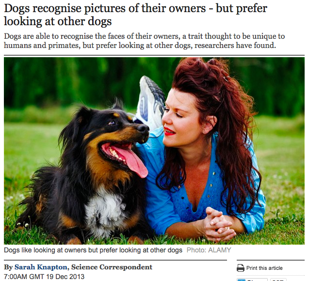 Dogs and owners headline
