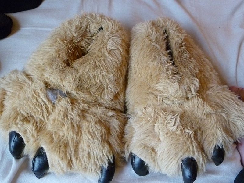 Slippers Novelty_Paw