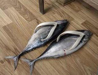 Slippers fish