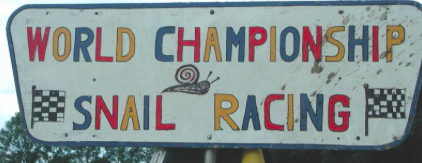 July World Snail Racing Championships
