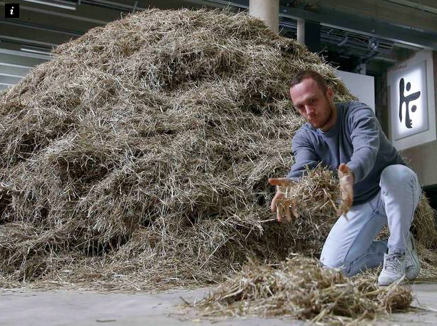 B needle in haystack