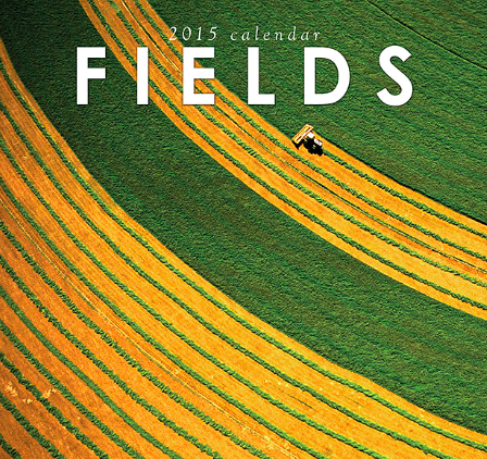 B Fields