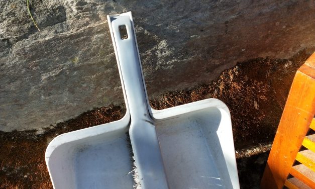 Day 8 of 12 Days of Christmas Gifts — Dust Pan — dull men love them