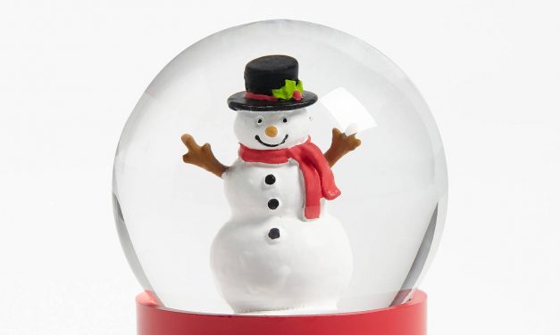 Day 6 of 12 Days of Christmas Gift Ideas — snowglobe