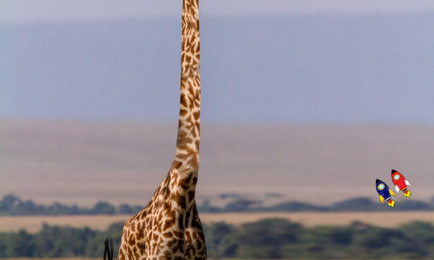 “I wonder how long it takes for a Giraffe to throw up?”