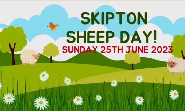 Today — “Running of the Sheep” — in Yorkshire