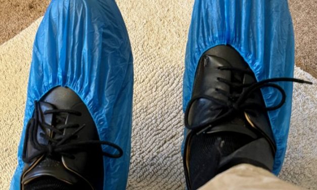 my blue booties