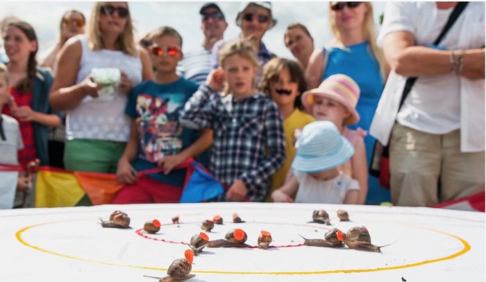 We’re looking for results and photos of the  World Snail Racing Championships held Saturday 6 July at Congham, Norfolk