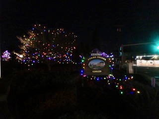 Boring Christmas Tree Lighting — in Boring, Oregon (20 miles east of Portland, population 2,300)