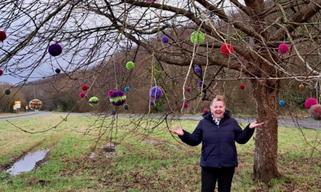 Yarnbomber bombs lonely tree with 51 Christmas baubles (balls)