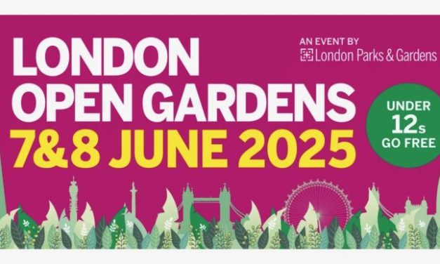How many of these gardens did you visit over the weekend? — London Open Gardens — 7 & 8 June