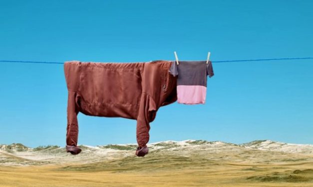 Clothesline Art . . . celebrating the ordinary