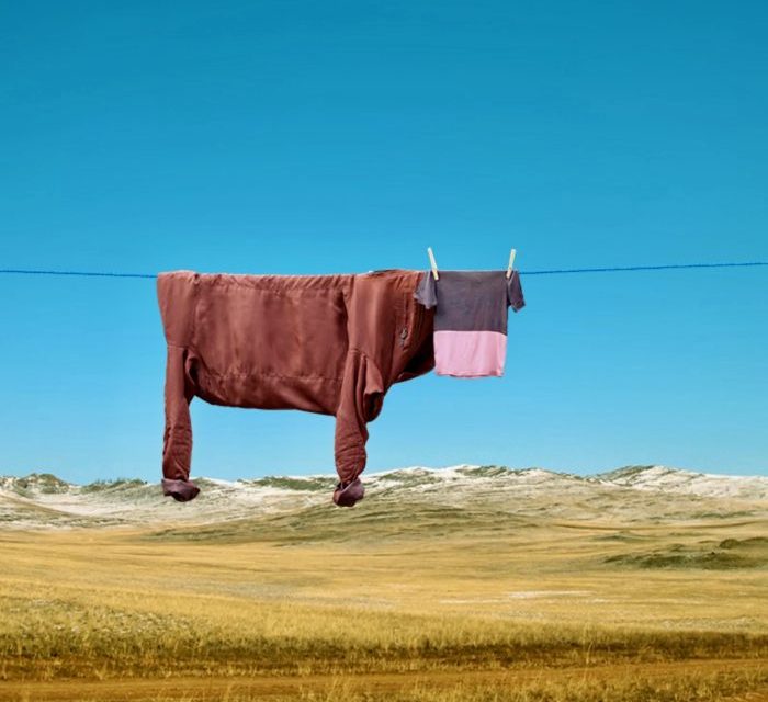 Clothesline Art . . . celebrating the ordinary