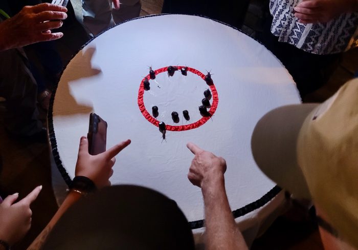 Report on the snail racing at Ye Olde Cheshire Cheese