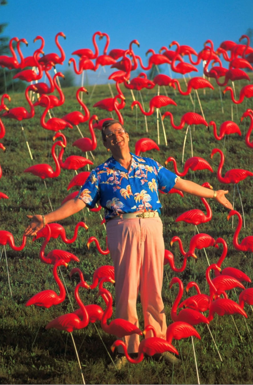B Featherstone in field of flamingos