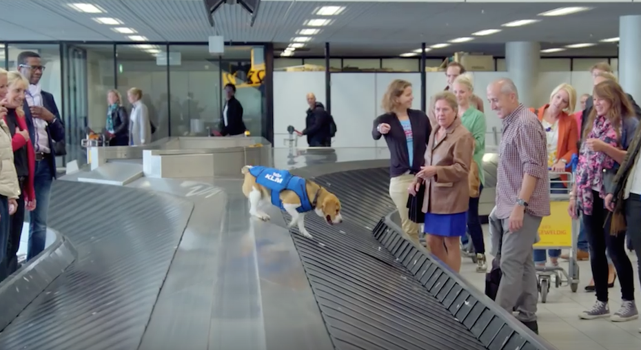 Dogged delivery service by KLM’s Lost & Found