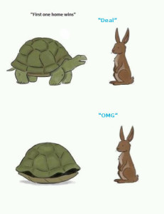 B Tortoise Hare
