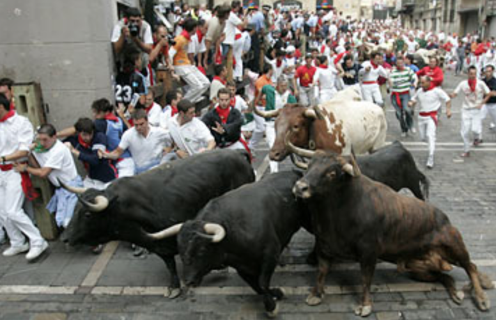 B bulls coming around corner