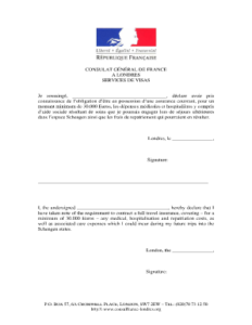 BREXIT French visa form