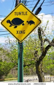 May turtle crossing sign