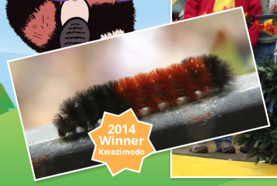 Oct woolly worm winner 2014