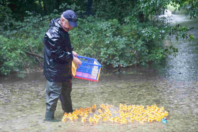 OvertonDuckRace_9 (Read-Only).jpg.gallery man releasing bucket of ducks