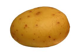 Potato 5