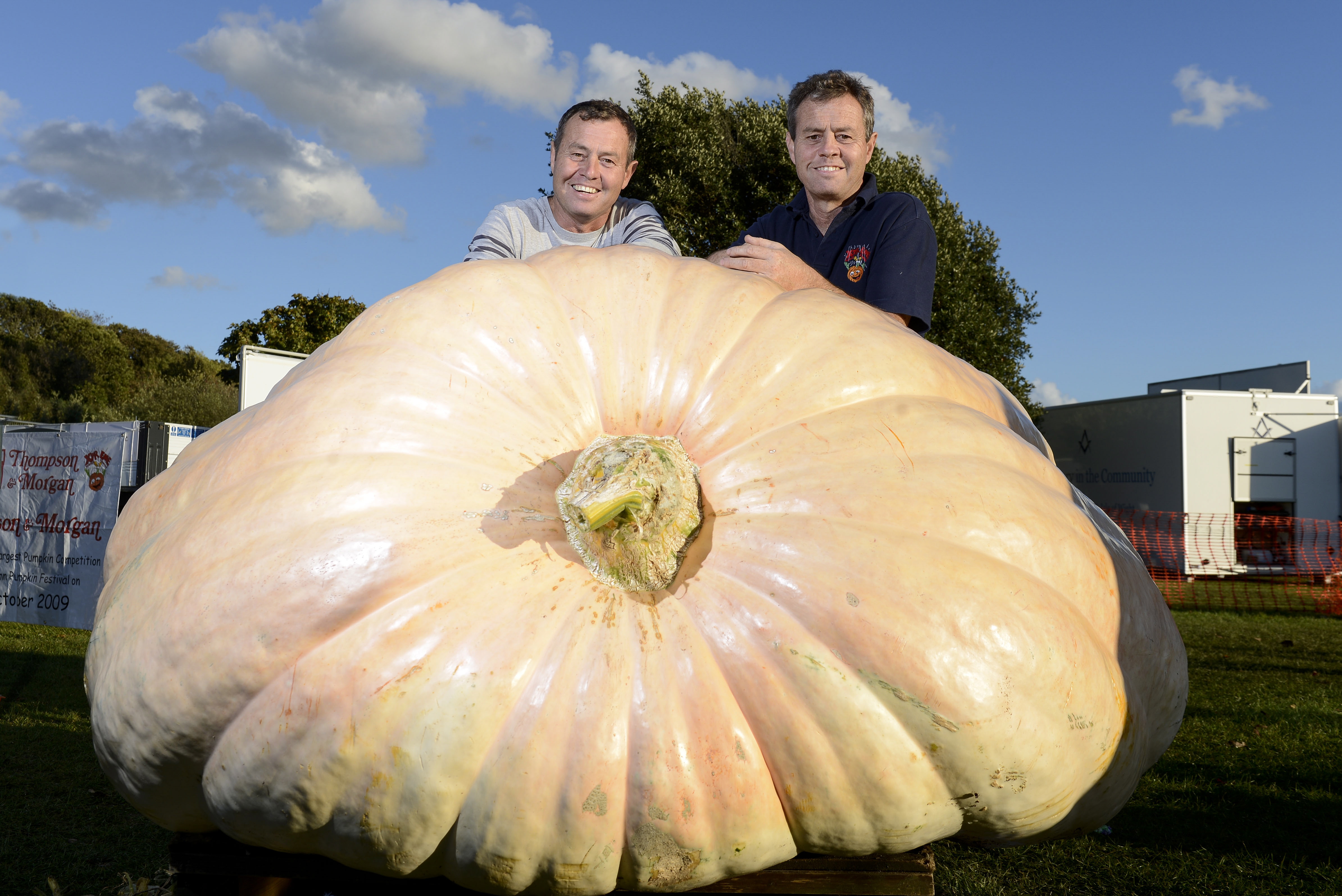 A pair of twins have broken the UK record for growing the heaviest pumpkin ever - weighing in at a monstrous 1,884 pounds. Brothers Ian and Stuart Paton, 53, previously held the record until it was beaten by a pumpkin last year that weighed 1,520 pounds. But moments before they smashed the British record, farmer Mark Baggs from Dorset thought he had set it himself with a massive 1,582 pounds. However, the Patons, from Pennington, Hants, were last up at an annual weigh-in of the UK's biggest pumpkin. And amazingly, they smashed the record with their enormous 4.5ft tall pumpkin, which has a circumference of 17ft and 4in. SEE OUR COPY FOR MORE DETAILS. Pictured: Stuart Paton (left) and Ian Paton (right) with their pumpkin. © Tom Harrison/Solent News & Photo Agency UK +44 (0) 2380 458800
