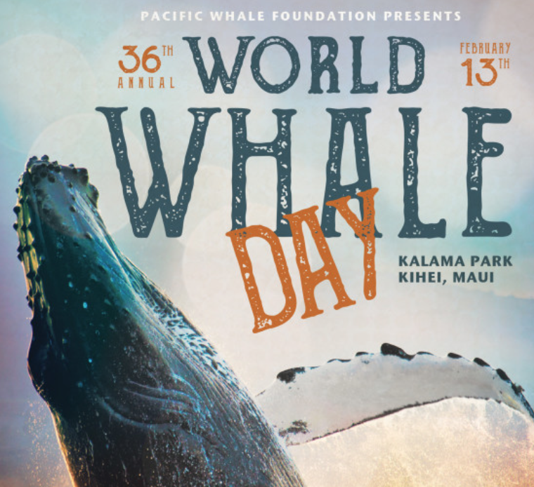 “World Whale Day” — it’s today — February 13