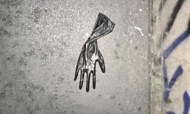 lost glove photographed in Tokyo