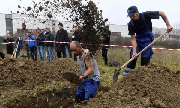 Gravedigging Championships — Central Europe
