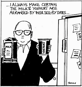 Why do women like dull men?