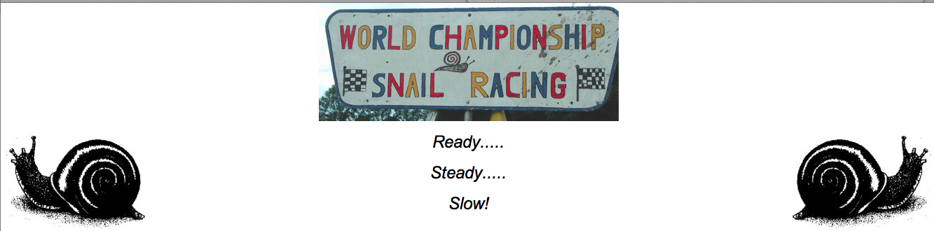 snail racing header