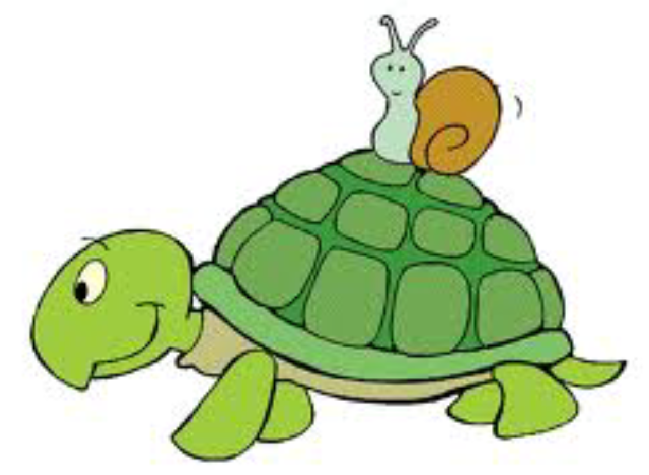 Как будет черепаха на английском. Черепаха мультяшная. Черепаха картинка для детей. Tortoise для детей. Черепашка рисунок.