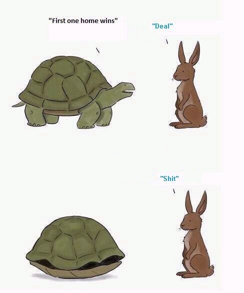 Tortoise challenges hare to race home