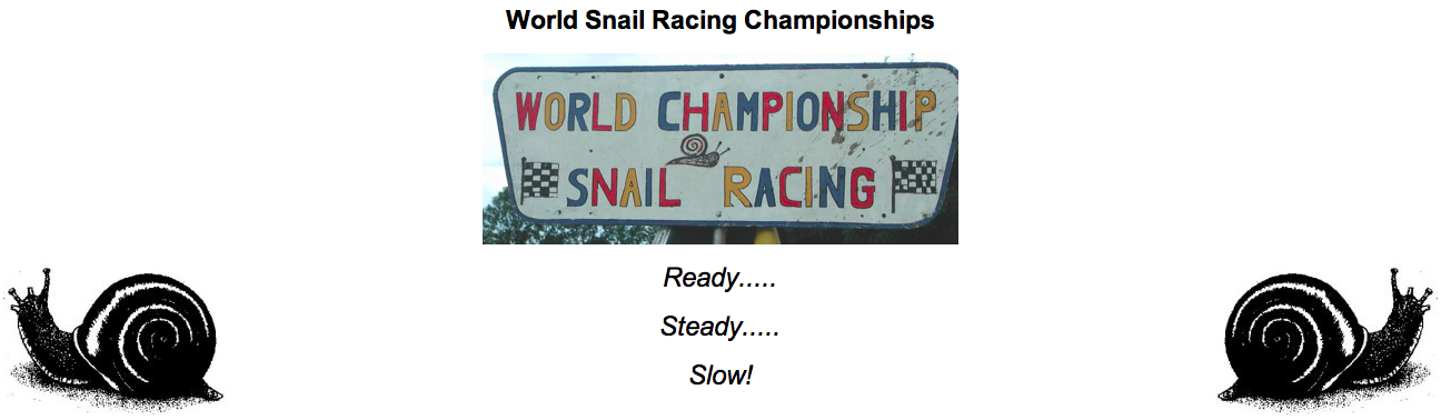 Ready, Steady, Slow — Snail Racing