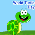 Today is World Turtle Day